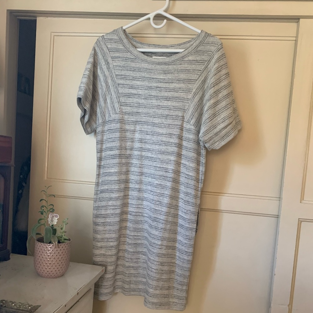 Caslon Dress NWT - Picture 3 of 5